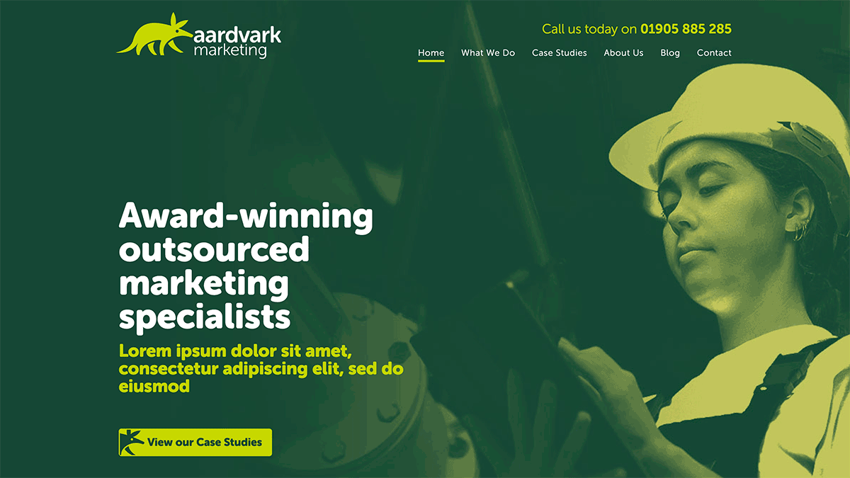 Aardvark Marketing Consultants logo